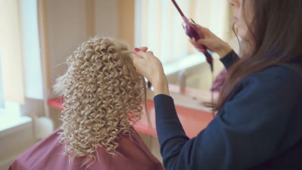 Sorridente Parrucchiere Femminile Facendo Coiffure Bella Giovane Donna Con Lunghi — Video Stock