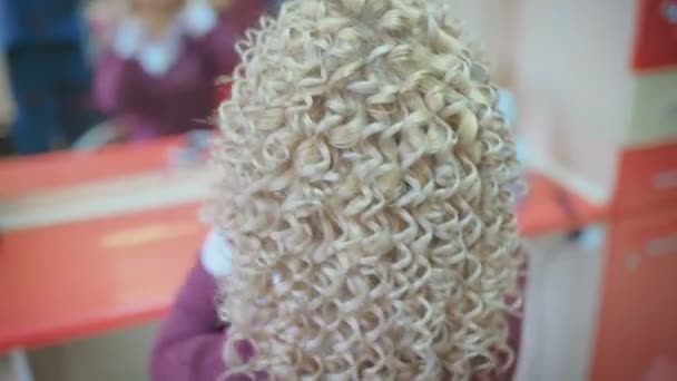 Coiffeuse Souriante Faisant Coiffure Jolie Jeune Femme Aux Longs Cheveux — Video