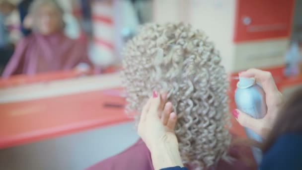 Coiffeuse Souriante Faisant Coiffure Jolie Jeune Femme Aux Longs Cheveux — Video