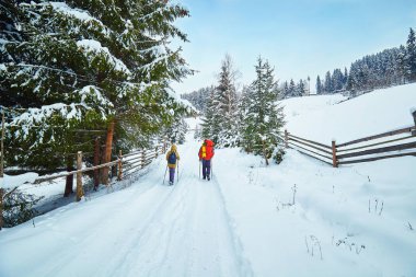 karla kaplı yürüyüş yolu kış orman