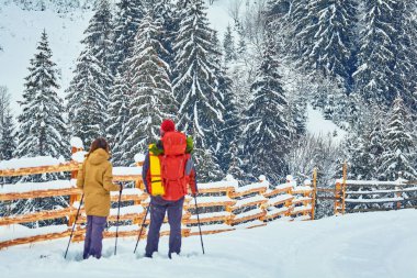 karla kaplı yürüyüş yolu kış orman