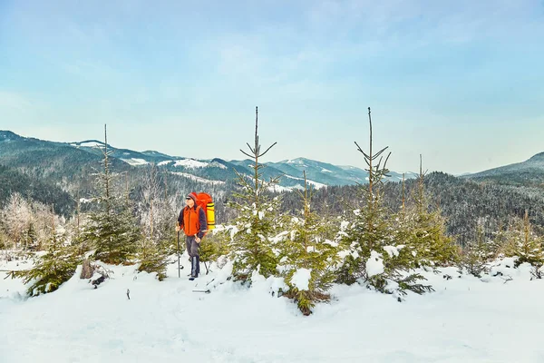 Neve Coberto Trilha Caminhadas Floresta Inverno — Fotografia de Stock