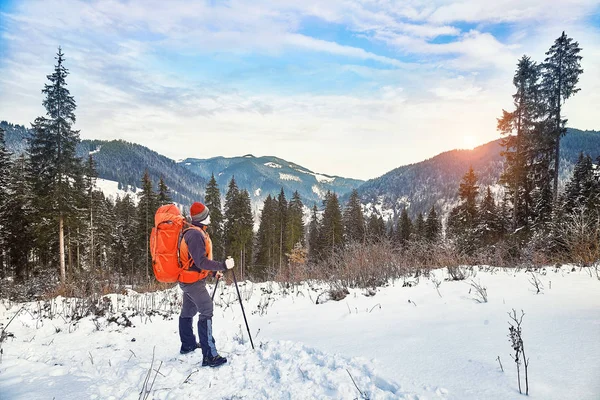 Schneebedeckter Wanderweg Winterwald — Stockfoto