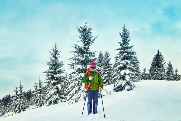 Neve Coberto Trilha Caminhadas Floresta Inverno — Fotografia de Stock