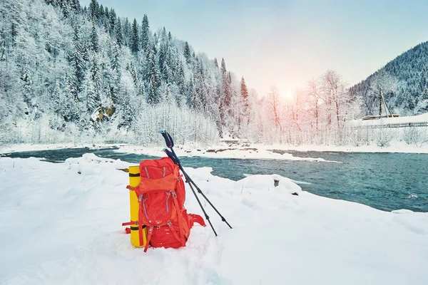 Neve Coberto Trilha Caminhadas Floresta Inverno — Fotografia de Stock