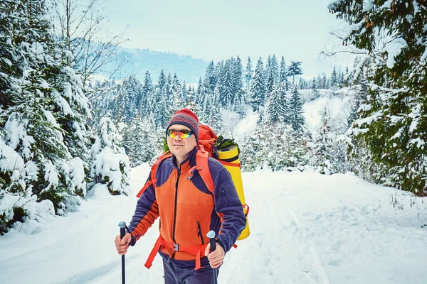 雪に覆われた冬の森ハイキング コース — ストック写真