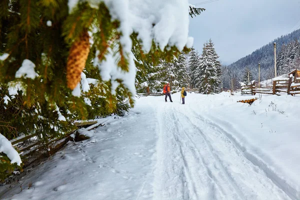 Neve Coberto Trilha Caminhadas Floresta Inverno — Fotografia de Stock