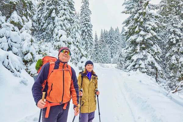 Schneebedeckter Wanderweg Winterwald — Stockfoto