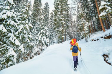 karla kaplı yürüyüş yolu kış orman