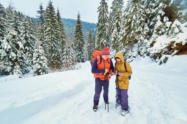 Schneebedeckter Wanderweg Winterwald — Stockfoto
