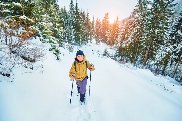 雪に覆われた冬の森ハイキング コース — ストック写真