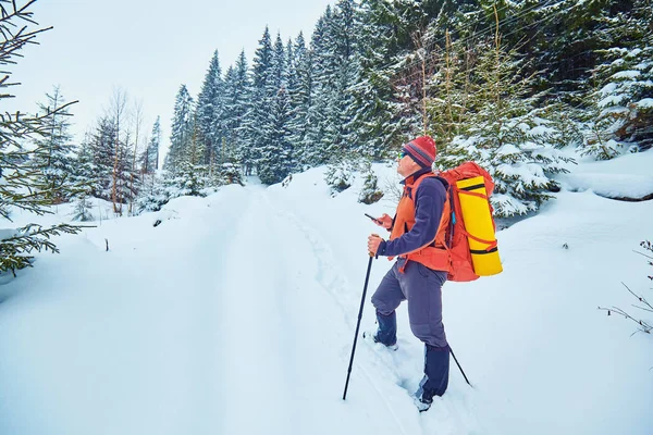 Schneebedeckter Wanderweg Winterwald — Stockfoto