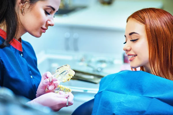 Female Dentist Showing Patient Artificial Jaw Dental Office — Stock Photo, Image