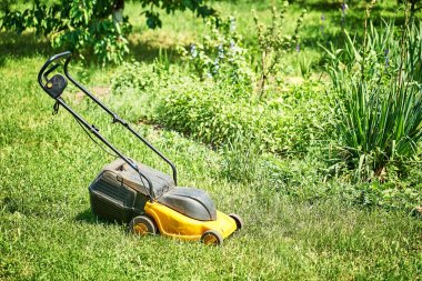 Yeşil çim üzerinde çim biçme, ağaçlar ve bir arka plan karşı bir f