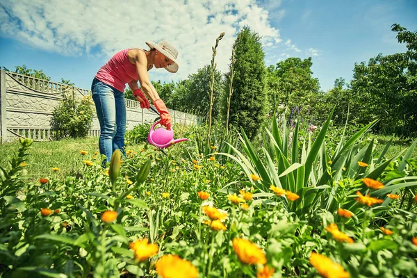 Žena pracuje v zahradě sama na zahradě — Stock fotografie