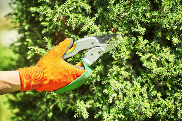 Женщина работает в саду одна в саду.
