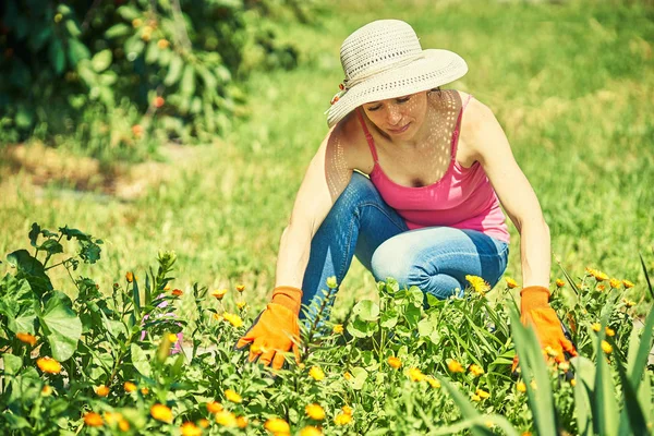 Žena pracuje v zahradě sama na zahradě — Stock fotografie