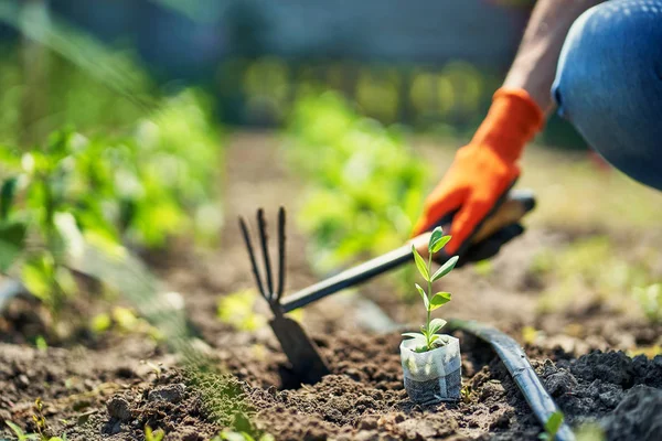 Una mujer trabaja sola en el jardín en el jardín — Foto de Stock