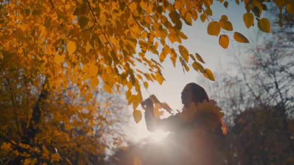 Žlutý Podzimní List Ruce Pozadí Stromů — Stock video