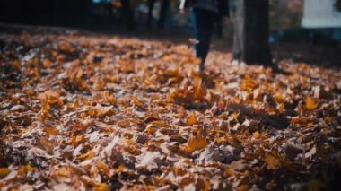 Yakın plan, bir kız düşen yaprakların üzerinde yürür.