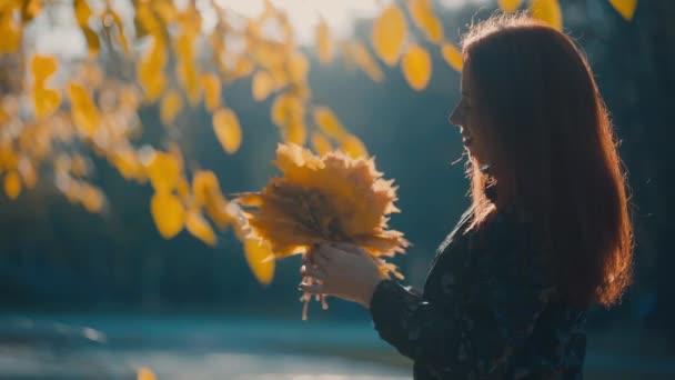 Geel Herfstblad Hand Een Achtergrond Van Bomen — Stockvideo