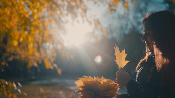 Żółty Jesienny Liść Dłoni Tle Drzew — Wideo stockowe