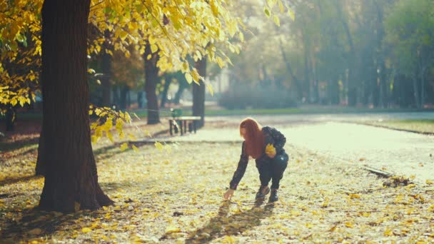 黄色的秋天的叶子手握在树背上 — 图库视频影像