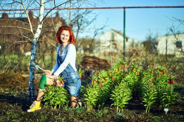 Bahçe işleri, baharda bahçeye fidanlar ekmek..