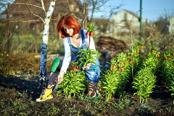 Begreppet Trädgårdsskötsel Plantering Plantor Platsen Våren — Stockfoto