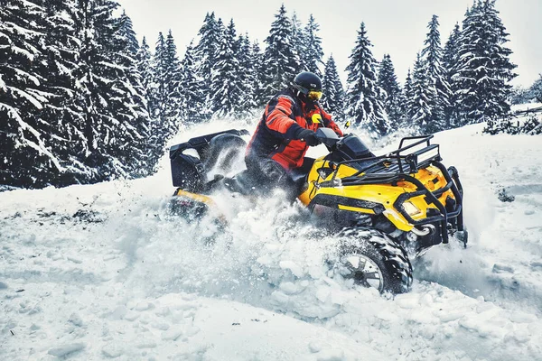 Fahrer Beim Quadradrennen Winter Wald — Stockfoto