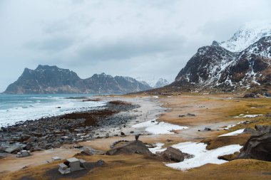 Karla kaplı dağlar ve kayalık kıyı manzarası..