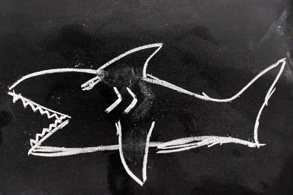 Kreda Rysunek Jako Kształt Rekina Tle Czarny Deska — Zdjęcie stockowe