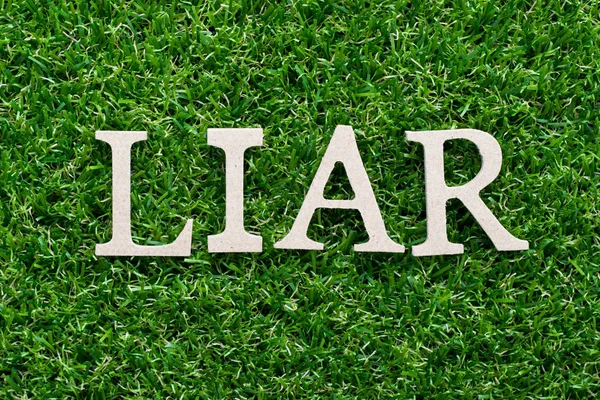 人工の緑の草の背景に単語の嘘つきの木製アルファベット — ストック写真