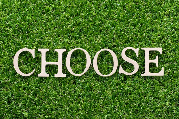 Wood Alphabet Word Choose Artificial Green Grass Background — Stock Photo, Image