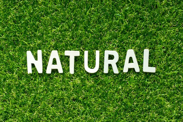 Wood Alphabet Word Natural Artificial Green Grass Background — Stock Photo, Image