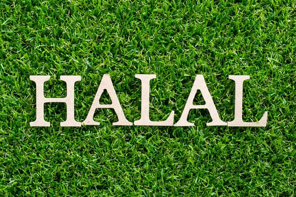 Drewna List Słowo Halal Tle Sztuczna Trawa Zielony — Zdjęcie stockowe