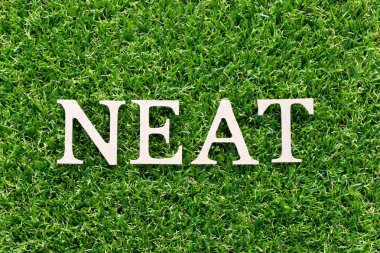 Word düzgün suni yeşil çim zemin üzerine ahşap alfabe