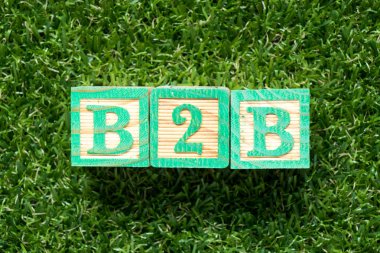 Renk ahşap blok içinde kelime B2b (iş-iş) suni yeşil çim zemin üzerine