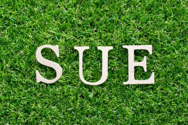 Word'de ahşap alfabe suni yeşil çim zemin üzerine dava