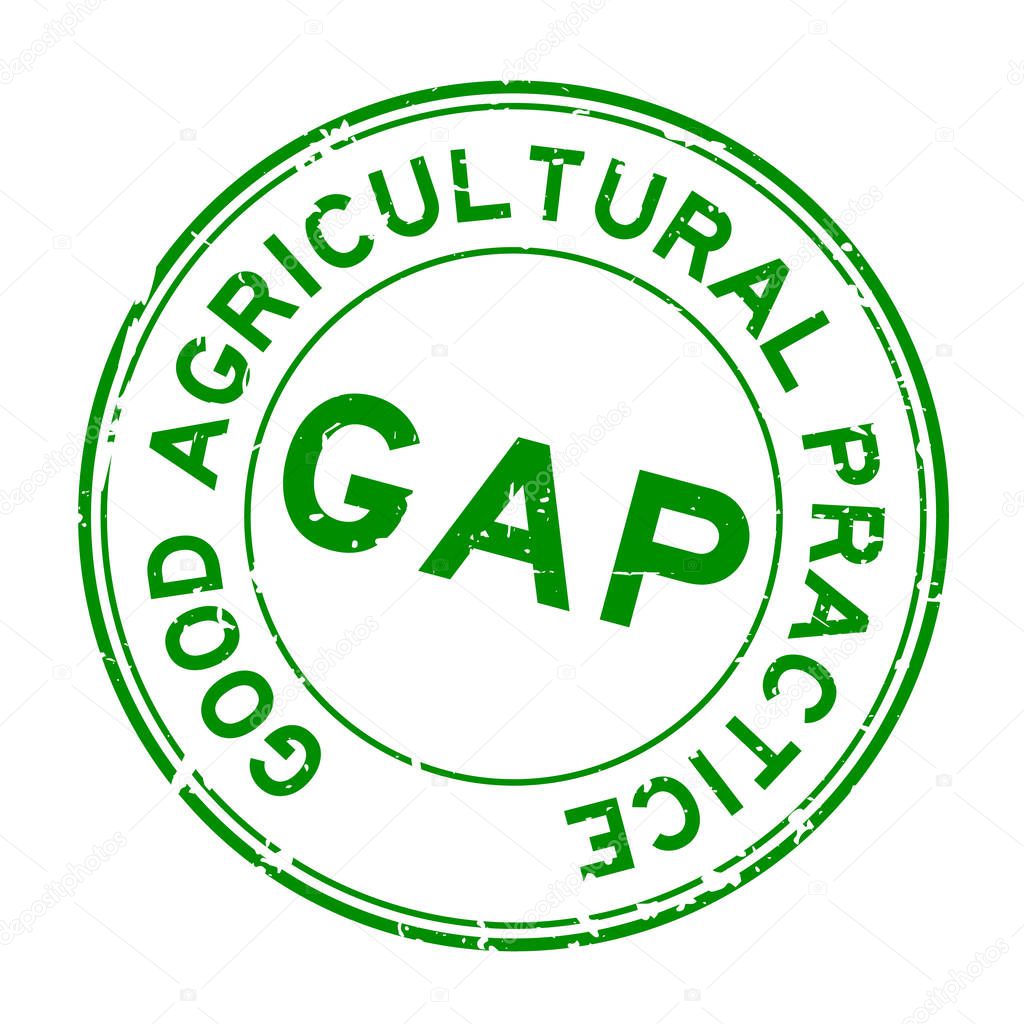 Grunge green GAP (abbreviation of good agricultural practice) word round rubber seal stamp on white background