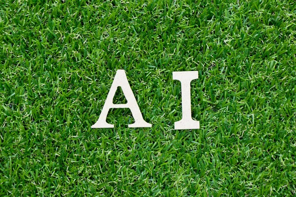Ξύλινο γράμμα λέξης Ai (τεχνητή νοημοσύνη συντομογραφία της σελίδας) σε φόντο πράσινο γρασίδι — Φωτογραφία Αρχείου
