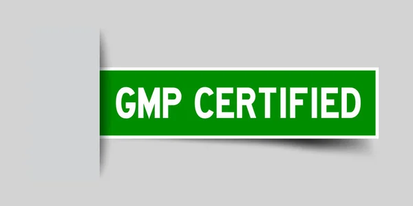 Etiqueta engomada verde cuadrado en la palabra GMP (Buenas prácticas de fabricación) certificado que se insertan bajo fondo gris (vector ) — Archivo Imágenes Vectoriales