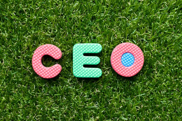 Toy foam letter in word CEO (abreviatura de Chief Executive Officer) on green grass background — Fotografia de Stock