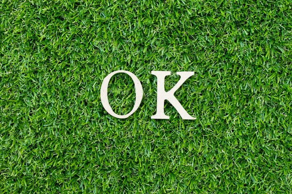 Letra del alfabeto de madera en la palabra ok en el fondo de hierba verde — Foto de Stock