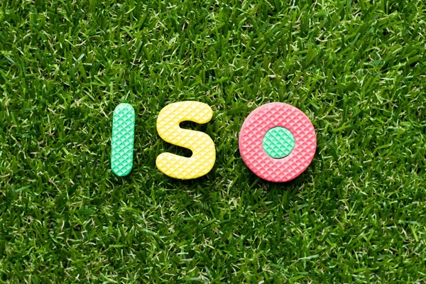 Toy hab levél szó ISO zöld fű háttér — Stock Fotó