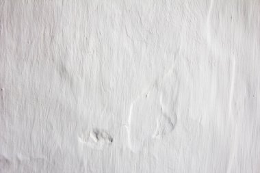 Grunge beyaz renk beton duvar dokulu arka plan