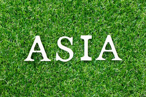 Huruf kayu dalam kata asia pada latar belakang rumput hijau — Stok Foto