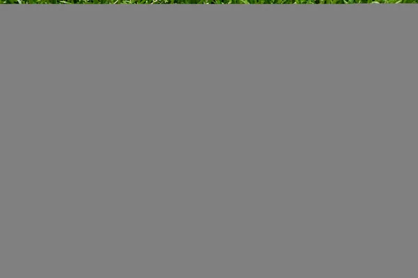Spielzeugschaum Buchstabe in Wort cfc (Abkürzung für Fluorchlorkohlenstoff) auf grünem Grashintergrund — Stockfoto