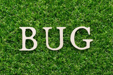 Yapay yeşil çim arka plan üzerinde kelime hata ahşap alfabesi