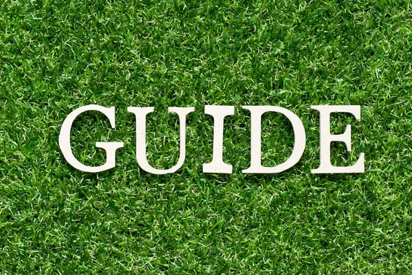 Wood alphabet letter in word guide on artificial green grass background